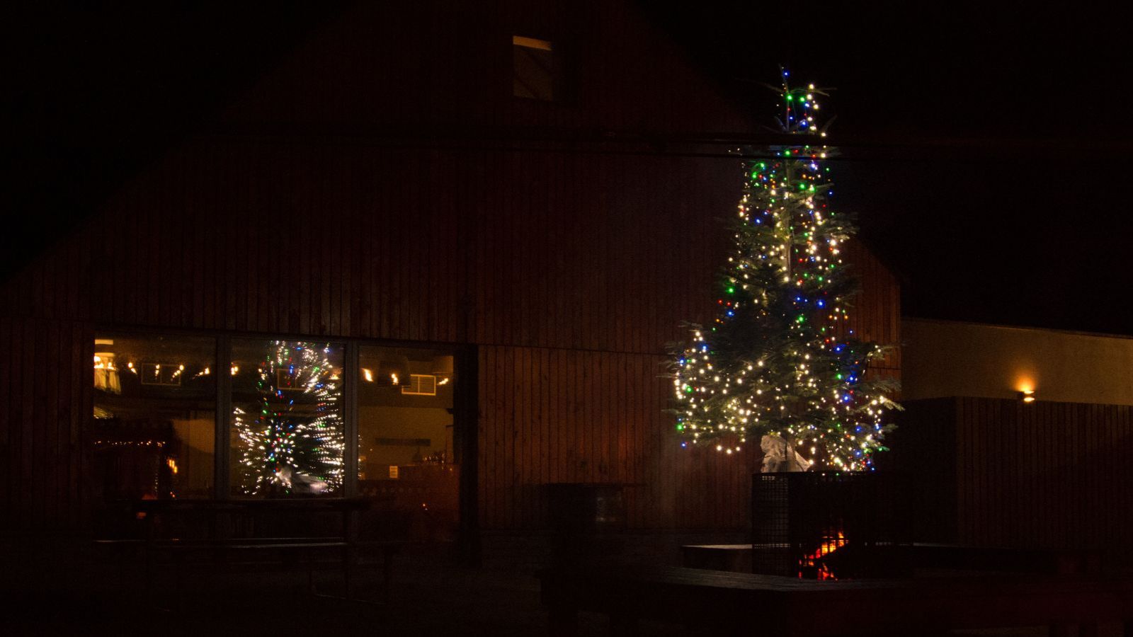 tree courtyard